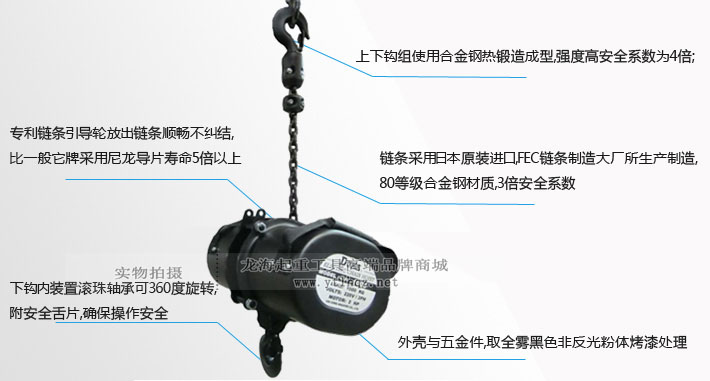 臺灣DUKE舞臺倒掛環鏈電動葫蘆細節圖