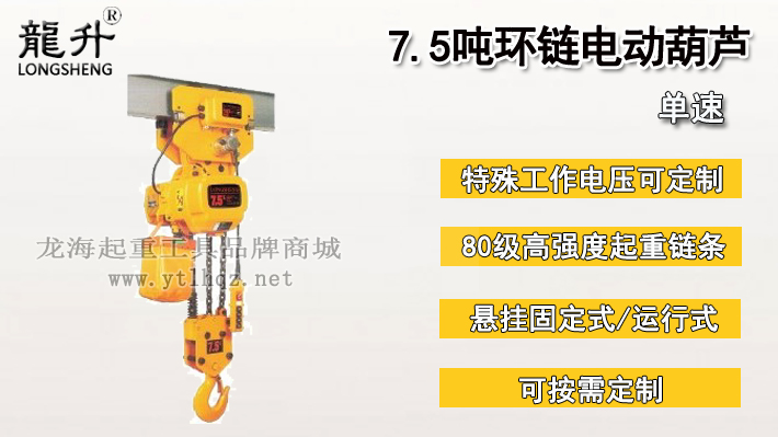 7.5噸環鏈電動葫蘆圖片